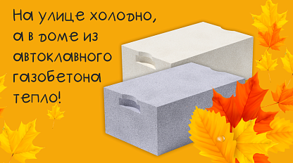 Осень в Красноярске 2025 Осень в Красноярске 2025